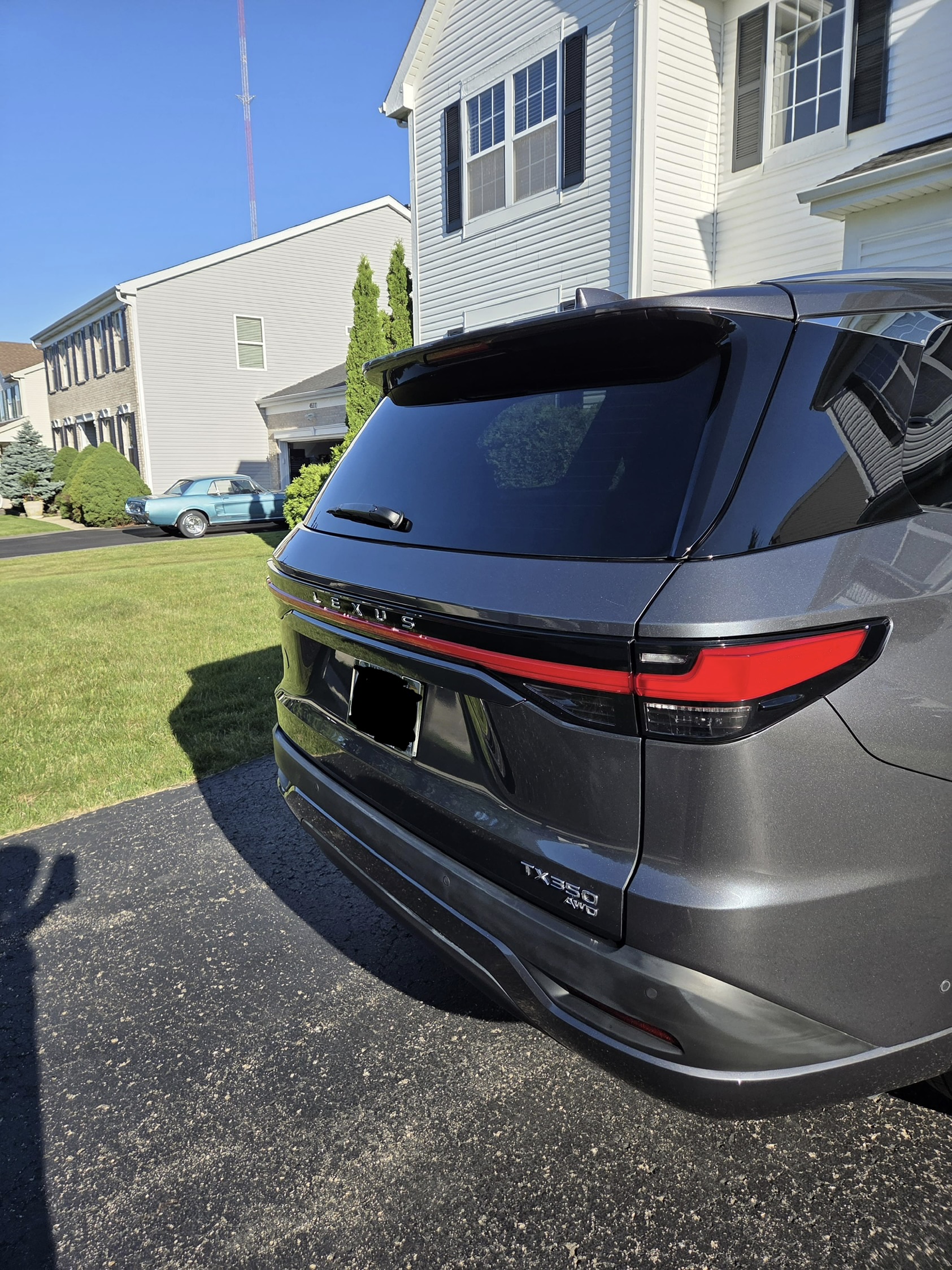 After rear detail